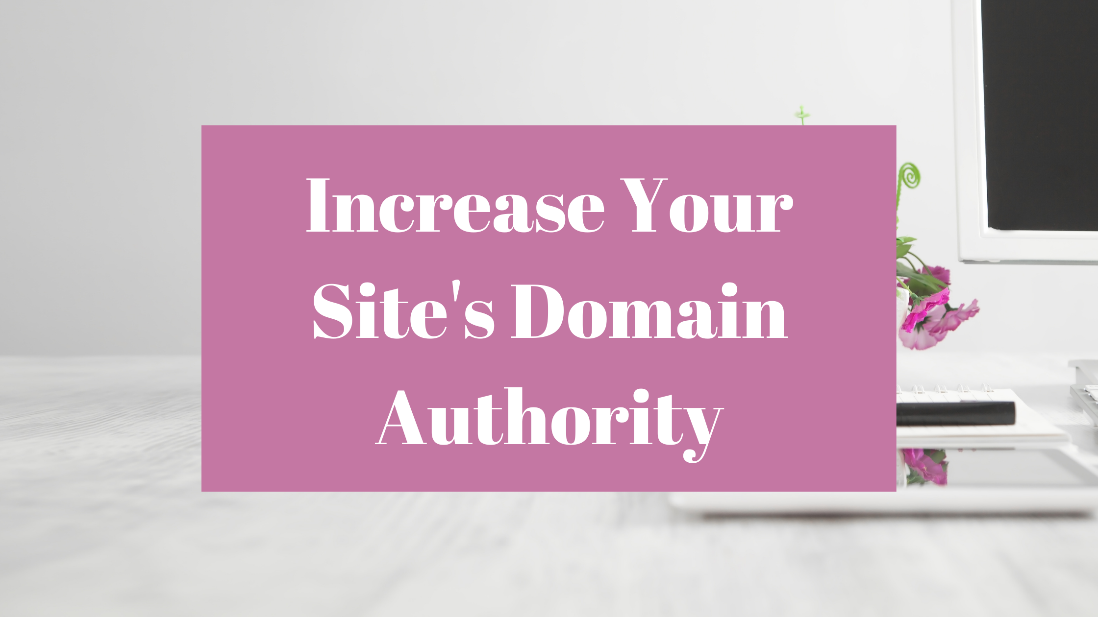 increase domain authority